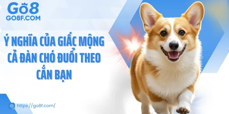 Ý nghĩa của giấc mộng cả đàn chó đuổi theo cắn bạn