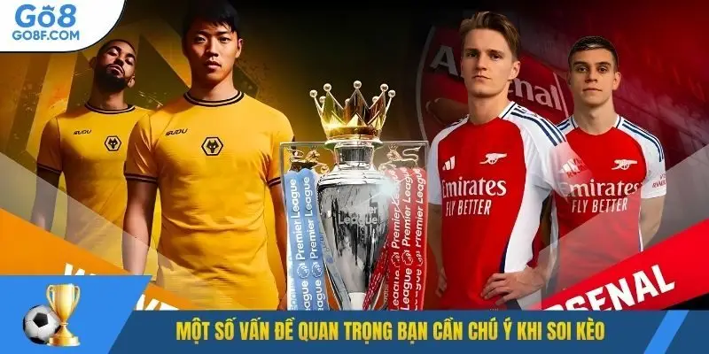 Một số vấn đề quan trọng bạn cần chú ý khi soi kèo