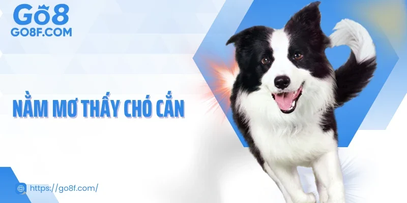 Nằm Mơ Thấy Chó Cắn Và Những Điềm Báo Dành Cho Bạn 